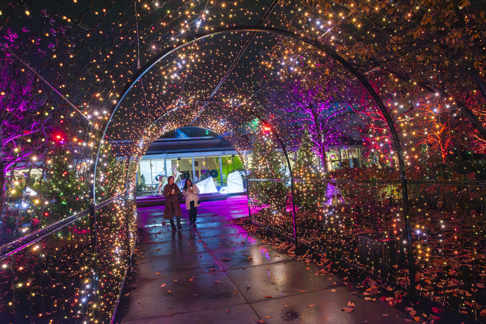 Frost – Cleveland Botanical Garden